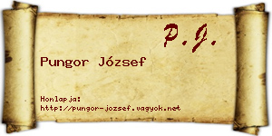 Pungor József névjegykártya